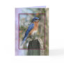 Eastern Bluebird Male Card