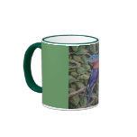 Eastern Bluebird mugs
