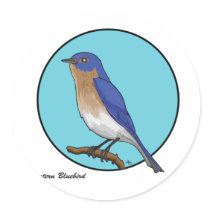 EASTERN BLUEBIRD ROUND STICKERS