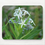 Eastern Bluestar Mouse Pads