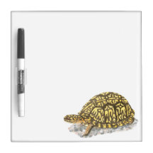 Eastern Box Turtle Dry-Erase Board