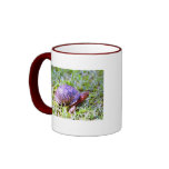 Eastern Box Turtle Louisiana Coffee Mug