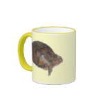 Eastern Box Turtle mugs