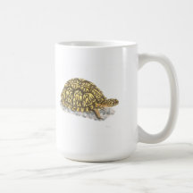 Eastern Box Turtle Mug