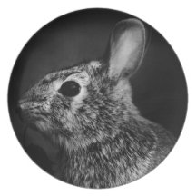 Eastern Cottontail Bunny Rabbit Left Plate