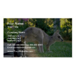 Eastern grey kangaroo and cat, Australia fl Business Card Template