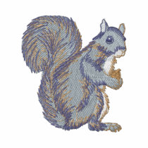 Eastern Grey Squirrel