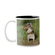 Eastern Grey Squirrel mug