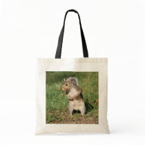 Eastern Grey Squirrel totebag