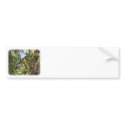 Eastern Rosella 9R033D-10 bumper stickers