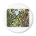 Eastern Rosella 9R033D-10 magnets