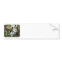 Eastern Rosella 9R033D-13 bumper stickers