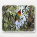 Eastern Rosella 9R033D-13 mousepads