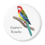 Eastern Rosella Round Magnet