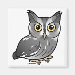 Eastern Screech Owl (Grey Phase) Refrigerator Magnets