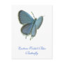 Eastern-Tailed Blue Butterfly Postcard