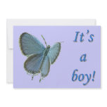 Eastern-Tailed Blue New Baby Boy Announcement invitations