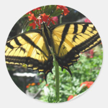Eastern Tiger Swallowtail Butterfly Sticker