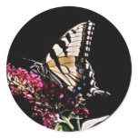 Eastern Tiger Yellow Swallowtail Butterfly Sticker