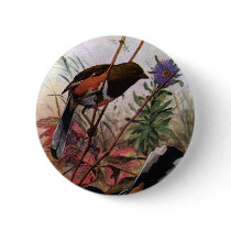 Eastern Towhees and Purple Aster Pinback Buttons
