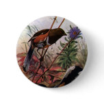 Eastern Towhees and Purple Aster buttons