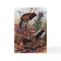 Eastern Towhees and Purple Aster Cards