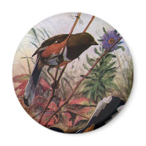 Eastern Towhees and Purple Aster Fridge Magnet