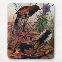 Eastern Towhees and Purple Aster Mousepad