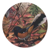 Eastern Towhees and Purple Aster Stickers