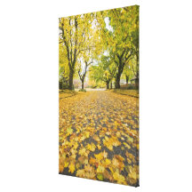 Eastmoreland Neighbourhood In Autumn Gallery Wrapped Canvas