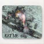 Eat Me! mousepads