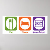 Eat Sleep Analyse Budgets
