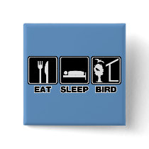 Eat Sleep Bird (blind)
