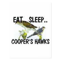 Eat Sleep COOPER'S HAWKS Postcards
