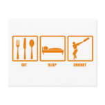 Eat Sleep Cricket postcards