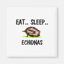 Eat Sleep ECHIDNAS Fridge Magnets