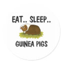Eat Sleep GUINEA PIGS stickers