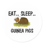 Eat Sleep GUINEA PIGS stickers
