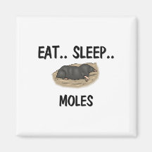 Eat Sleep MOLES Magnet