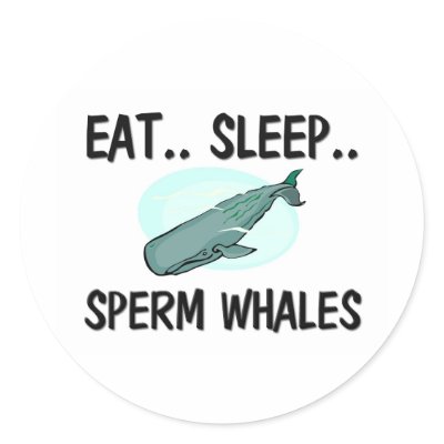 Eat Sleep SPERM WHALES Round Stickers by AnimalShirts