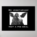 Eat Vegetarian - Not a Pig deal posters
