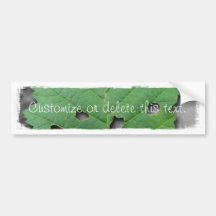 Eaten by Bugs; Customisable Bumper Sticker