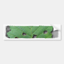 Eaten by Bugs; No Text Bumper Sticker