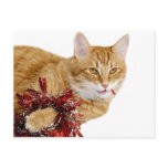 Eating Christmas decorations postcards