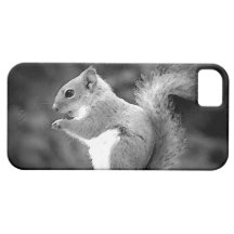 Eating Squirrel iPhone 5 Cases
