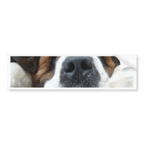 ebay 2010 172 bumper stickers