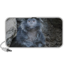 Ebony Langur Speakers