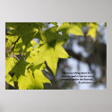 Ecclesiastes 3:1 Scripture Poster posters
