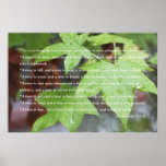 Ecclesiastes 3:1 Scripture Poster (Version B) posters