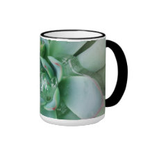 Echeveria 'Tippy' Mug